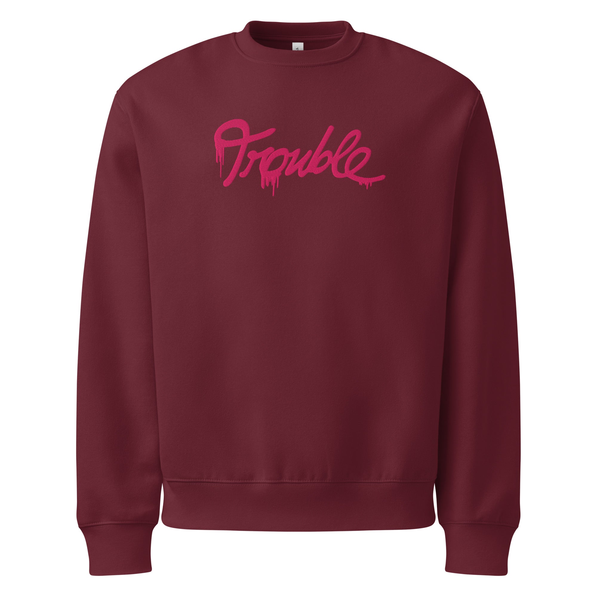 Trouble Embroidered Oversized heavyweight sweatshirt